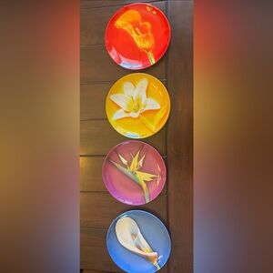 Beautiful and Colorful Decorative Plates.